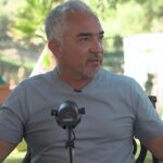 Cesar Millan Instagram - 🦮 Coloca la correa en el punto correcto, así podemos aprender a guiar a nuestros compañeros caninos de la forma adecuada para transmitirles el mensaje correcto: SÍGUEME!!! Me encanta comentar y responder dudas en el podcast que ustedes y nosotros enfrentamos día a día. #betterhumansbetterplanet 🎙️