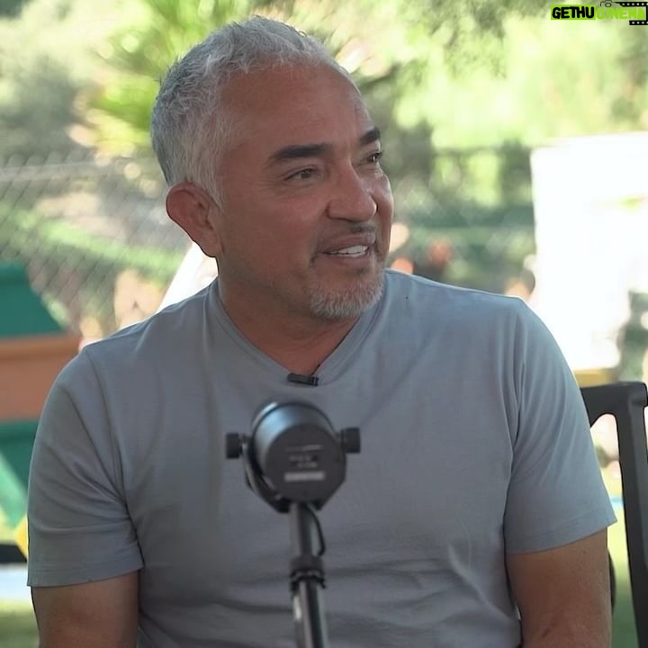 Cesar Millan Instagram - Debemos identificar a los líderes de la manada, un perro del medio o detrás de la manada no debe guiarnos. Identifiquen la posición de sus perros 🐕🐩 Nuevo episodio de #BetterHumansBetterPlanet ya disponible respondiendo sus preguntas.