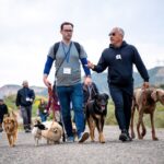 Cesar Millan Instagram – TCW Testimonial – James 📚

“I cannot put into words the ways in which Cesar and his entire team at TCW have left their imprint on my life. Before the programme, I was lost and frustrated, feeling like the more I learned about ‘dog training’, the more I felt that I was losing my connection to dogs and the reason I wanted to work with them in the first place. I knew that if anyone would have the answers to my professional struggles it was going to be Cesar, but I could never have known how much I would learn about myself – my own issues, my battles, my weaknesses – and discover my gifts, my personality, and my strengths. 
 
For the people that really commit to the programme, every day is like a gut punch of emotion and self-discovery. I have never laughed so much, cried so hard, or healed the wounds I didn’t know I had – and I know I am far from alone in that. I felt so much genuine care from everyone around me, surrounded by so many people turning up authentically, as human beings and their dogs. 
 
I learned more in two weeks about myself, about dogs and about others than in years of all my other professional development – and the knock-on impact for my clients and their dogs back in the UK has been incredible. I can read dogs more clearly than ever, diagnose the issues that other local professionals miss, and I’m pushing the quality of my training well beyond what I offered before. 
 
Cesar – I know that you will understand the value of these words more than most. You taught me to love myself for who I am, instead of trying to find it in others. And even though it’s not always easy, to give myself that love every day if I want to be able to best help other people through their dogs.”

Visit our website (cesarmillan.com) to secure your spot and experience the magic of Training Cesar’s Way! ✨

#trainingcesarsway