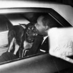 Cesar Millan Instagram - "I have a dream…. 💭 That together we make this world a better planet by bettering the way we as humans connect to our animals through our natural, simple, and profound self. Better Humans for a Better Planet 🌎 thank you for inspiring me ❤️ #mlk #mlkday "