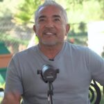 Cesar Millan Instagram - El Amor solo no puede darnos dirección, necesitamos que venga acompañado de respeto, confianza y disciplina. ❤️ Sé el primero en escucharnos. Estás ya suscrito a #BetterHumansBetterPodcast??? ✅