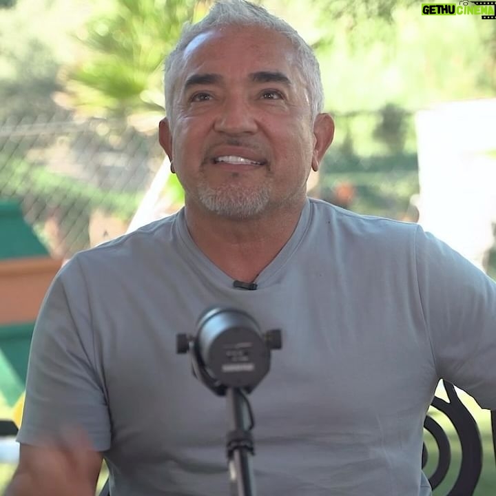 Cesar Millan Instagram - El Amor solo no puede darnos dirección, necesitamos que venga acompañado de respeto, confianza y disciplina. ❤️ Sé el primero en escucharnos. Estás ya suscrito a #BetterHumansBetterPodcast??? ✅
