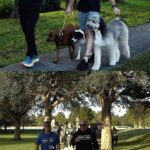Cesar Millan Instagram - GRACIAS!!! Simple but profound, that’s what it takes, that is enough. Thank you!!! #TrainingCesarsWay #BetterHumansBetterPlanet