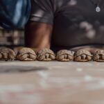 Cesar Millan Instagram – Qué nombres sugieren para estas pequeñas? 🐢
. . . 
What should we call them? 🐢