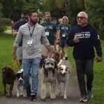 Cesar Millan Instagram - RELAX!!! Dog Parks are the best as long as we go in there with the right energy 🙌 We practice that today at the #TrainingCesarsWay Florida 2023 #BetterHumansBetterPlanet