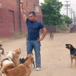 Cesar Millan Instagram - My first dog psychology center in LA!

Can you guess the year?

#throwback #throwbackthursday 
• • •
¡Mi primer centro de psicología canina en Los Ángeles!

¿Puedes adivinar el año?

#TT