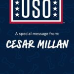 Cesar Millan Instagram - Huge thank you to Cesar Millan @cesarsway for helping us announce the 2023 USO Canine Volunteer of the Year! 🐾 Whether it’s offering a helpful paw or a listening ear, USO Canine Volunteers play an important role in strengthening the well-being of service members and their families. The USO understands the strong bond between humans and animals and the critical roles a dog can play within the military community to help address mental, emotional, and physical needs. The USO Canine Program includes therapy dogs, family pets, and military working dog programs. Interacting with therapy dogs can reduce stress and provide a unique morale boost for service members and their families! Congratulations and a big thank you to all our USO Canine Volunteers! Find out more about our furry friends at uso.org/canine #theUSO