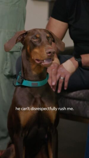 Cesar Millan Instagram - Are we catering to our dogs’ “puppy-ness.”

It is important to set rules, boundaries and limitations in order to create the outcome of Trust, Respect, and Love. 

Check out the new season of Better Human Better Dog on Disney  and National Geographic. 

—-

¿Seguimos promoviendo comportamientos de “cachorro” en nuestro perro?

Es importante establecer reglas, límites y limitaciones para crear el resultado de Confianza, Respeto y Amor.

Mira la nueva temporada de Better Human Better Dog en Disney  y National Geographic.