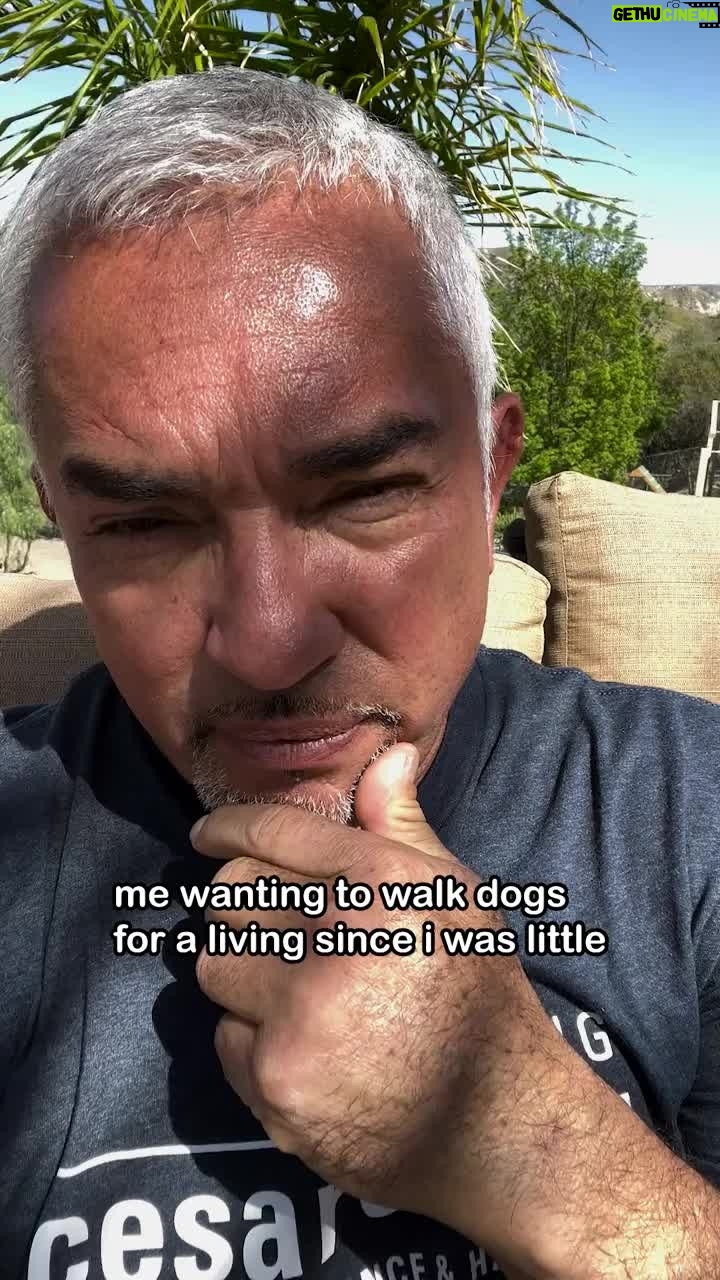 Cesar Millan - 10.4K Likes - #throwbackthursday - I wanted to walk dogs for a living every since I was a little kid. ā¤ļø
What is your childhood dream? š
#betterhumansbetterplanet #throwbackthursday
-------
Yo querĆa ganarme la vida paseando perros desde que era un
niƱo pequeƱo. ā¤ļø
¿CuÔl es tu sueño de infancia?
#mejoreshumanosmejorplaneta