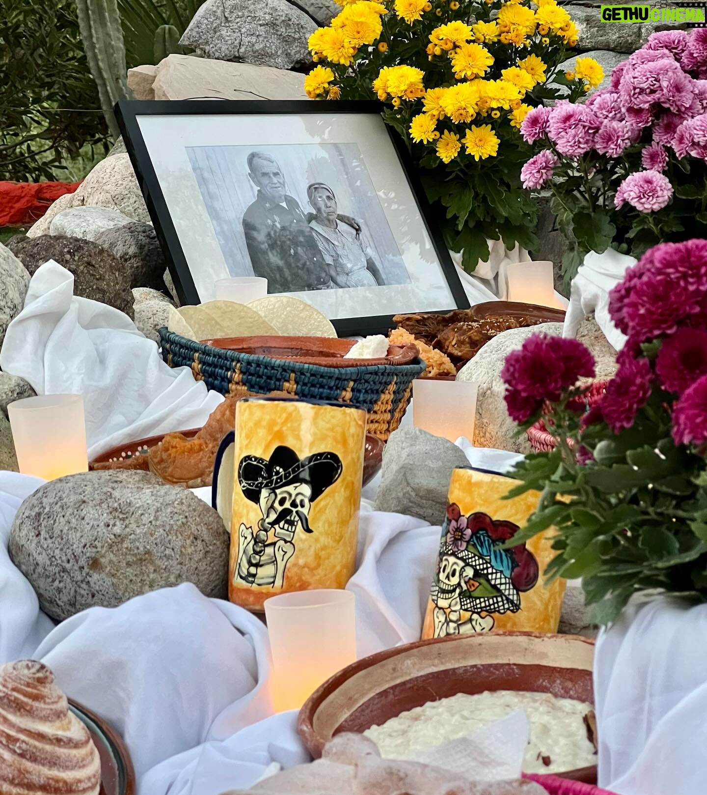 Cesar Millan - 44.5K Likes - Our Day of the Dead Altar ❤️
Honoring my grandparents, Daddy and Junior
——
Altar del día de muertos
Cesar recordando a sus abuelos, Daddy y Junior
#diadelosmuertos #betterhumansbetterplanet