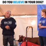 Cesar Millan Instagram - Training Tip Tuesday - Do you believe in your dog? 🐕 It is important to believe in your dog, to lead your dog, and to love at the right time. Learn more about Cesar’s natural, simple, and profound approach at our Training Cesar’s Way Fundamentals Workshops! #trainingtiptuesday #dogtraining #dog