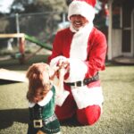 Cesar Millan Instagram - Trust - Respect - Love... And of course tons of fun!!! Who else is getting ready for the holidays??? 🎅🐶 . . . Confianza - Respeto - Amor... Y por supuesto mucha diversión!!! Quién más se está preparando para las vacaciones??? 🎅🐶