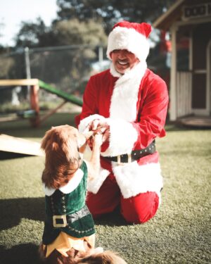Cesar Millan Instagram - Trust - Respect - Love... And of course tons of fun!!!

Who else is getting ready for the holidays??? 🎅🐶
. . . 
Confianza - Respeto - Amor... Y por supuesto mucha diversión!!!

Quién más se está preparando para las vacaciones??? 🎅🐶