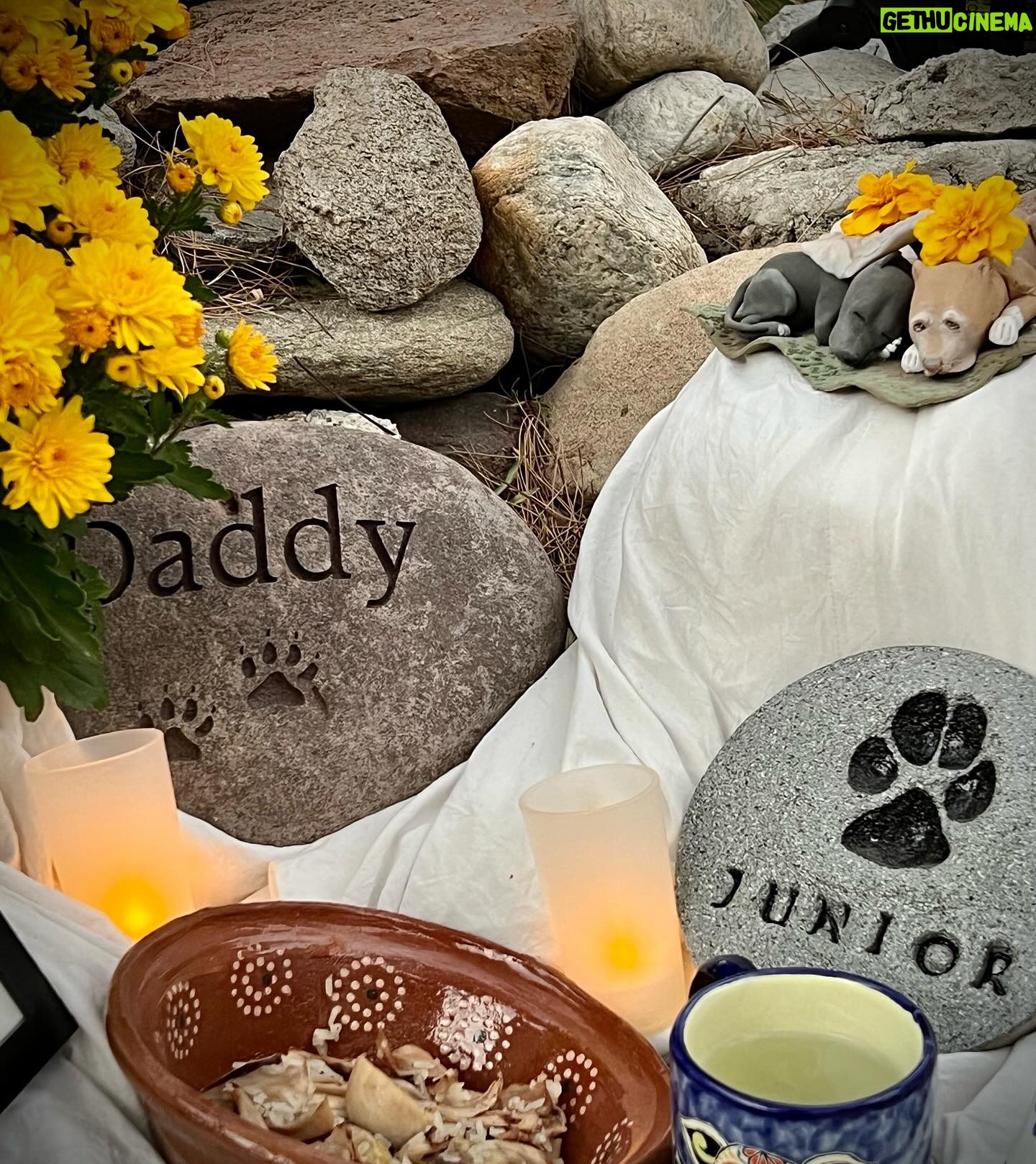 Cesar Millan - 44.5K Likes - Our Day of the Dead Altar ❤️
Honoring my grandparents, Daddy and Junior
——
Altar del día de muertos
Cesar recordando a sus abuelos, Daddy y Junior
#diadelosmuertos #betterhumansbetterplanet