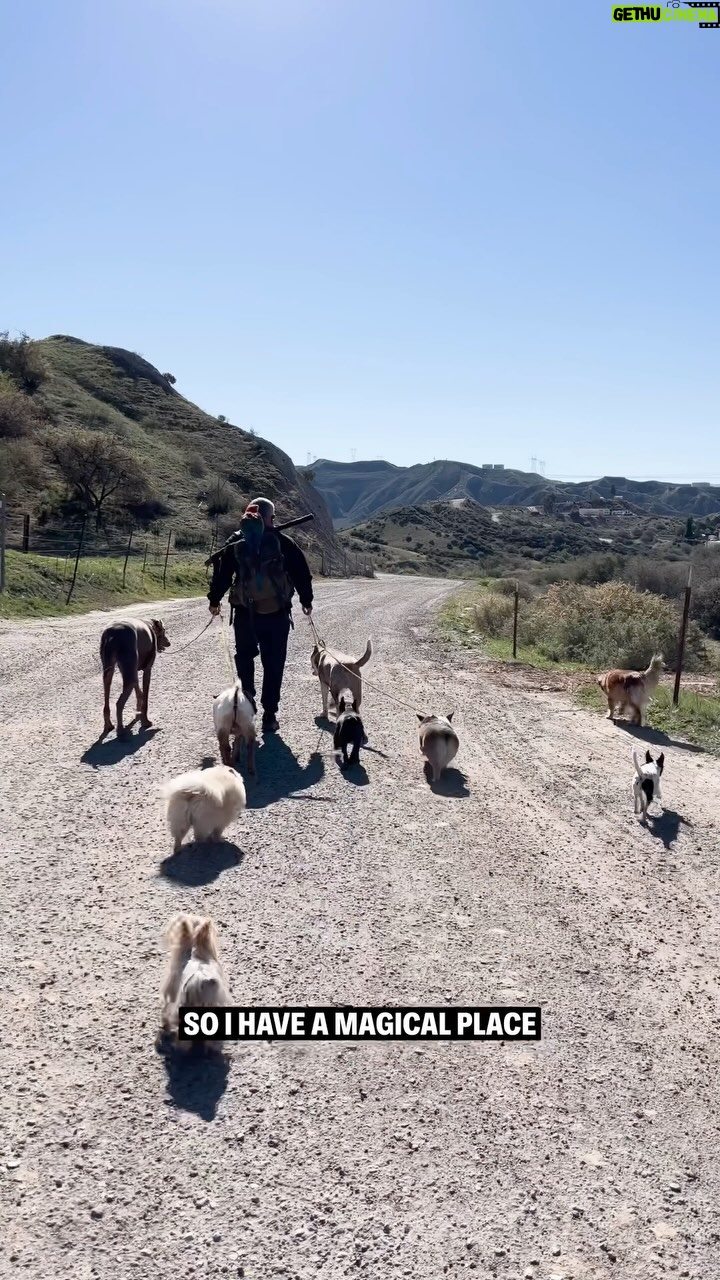 Cesar Millan Instagram - Experience the Magic of the Ranch at Training Cesar’s Way! ✨ Join us on our pack walks, meet the animals, ask me your questions, and learn directly from me on how we can become better humans for our dogs. ❤️ Secure your spot on my website in my bio 🔗 #betterhumansbetterplanet