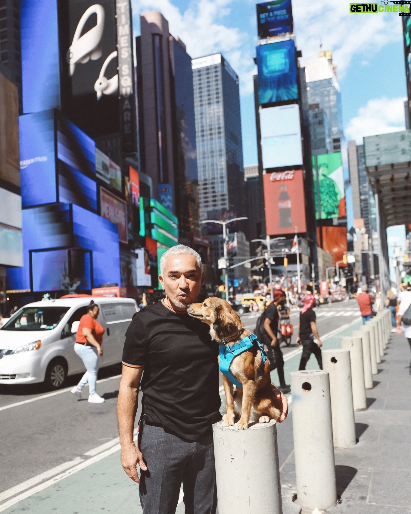 Cesar Millan - 16.9K Likes - 🗽 New York in 2019 with Sophia!
. . .
🗽 New York en 2019 con Sophia!