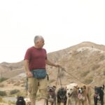 Cesar Millan Instagram - Did you walk your dog today? 🚶🏽‍♂️🐕🐕🐕🐕 Remember that Mastering the Walk is one of the best ways to create the best relationship with our dogs! Learn more @trainingcesarsway #throwbackthursday #dogtraining #betterhumansbetterplanet ——— ¿Paseaste a tu perro hoy? ¡Recuerda que Dominar el Paseo es una de las mejores formas de crear la mejor relación con nuestros perros! Más información @trainingcesarsway #perro #entrenamientodeperros #mejoreshumanosmejorplaneta