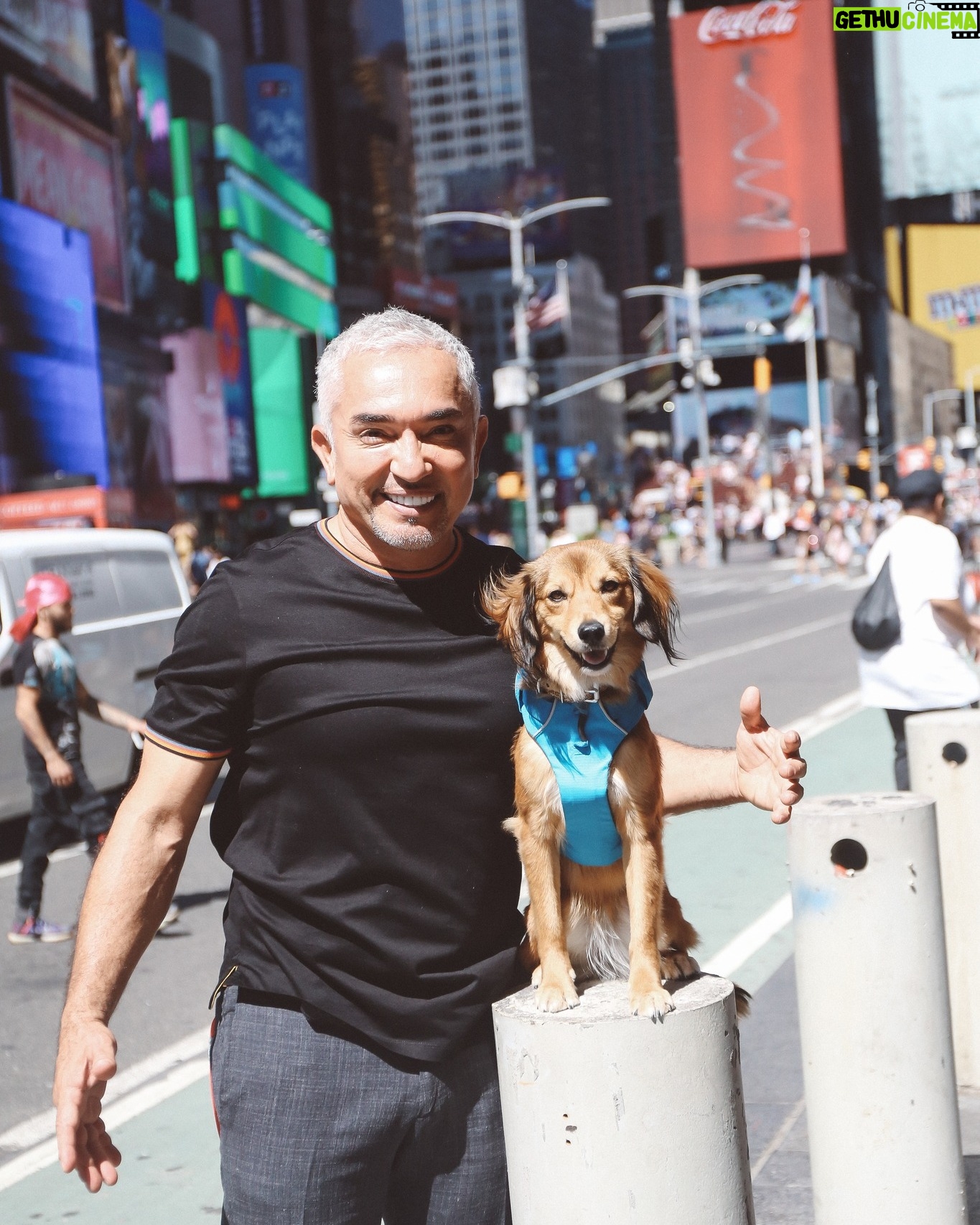 Cesar Millan - 16.9K Likes - 🗽 New York in 2019 with Sophia!
. . .
🗽 New York en 2019 con Sophia!