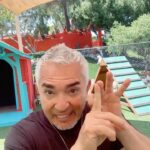 Cesar Millan Instagram - SPANISH SATURDAYS!! Perros celosos? Agresivos con sus parejas? 😅 Muchas veces el problema somos nosotros y la realación con nuestros perros . Acompáñanos en TikTok donde hago En Vivos para responder dudas de ustedes y sus perros. #mejoreshumanosmejorplaneta