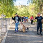 Cesar Millan Instagram – TRAINING CESAR’S WAY IS BACK AT THE RANCH 🎉

We are so happy. The Pack is ready. ❤️

Let’s get together to make this world a better planet by bettering the way we connect with our dogs. 🐕 

Visit the Link in my bio to REGISTER!

#trainingcesarsway #betterhumansbetterplanet