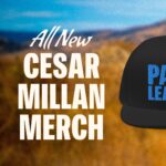 Cesar Millan Instagram – Proud and excited to share with you the ALL NEW CESAR MILLAN MERCH 🎉
Join me on our mission to make this world a better planet by bettering the way we as humans treat our animals ❤️
Get yours today by visiting my website, cesarmillan.com
Link in my bio!
#betterhumansbetterplanet