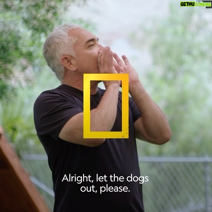 Cesar Millan Instagram - No matter the problem, every human and dog can learn to do better. Catch a new season of #BetterHumanBetterDog, premiering Friday, April 12 at 9/8c on @natgeotv Stream on @disneyplus and @hulu