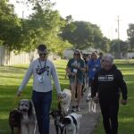 Cesar Millan Instagram - We can be magician to our dogs, abracadabra your fear is gone! 🪄 #mondaymotivation #betterhumansbetterplanet #trainingcesarsway