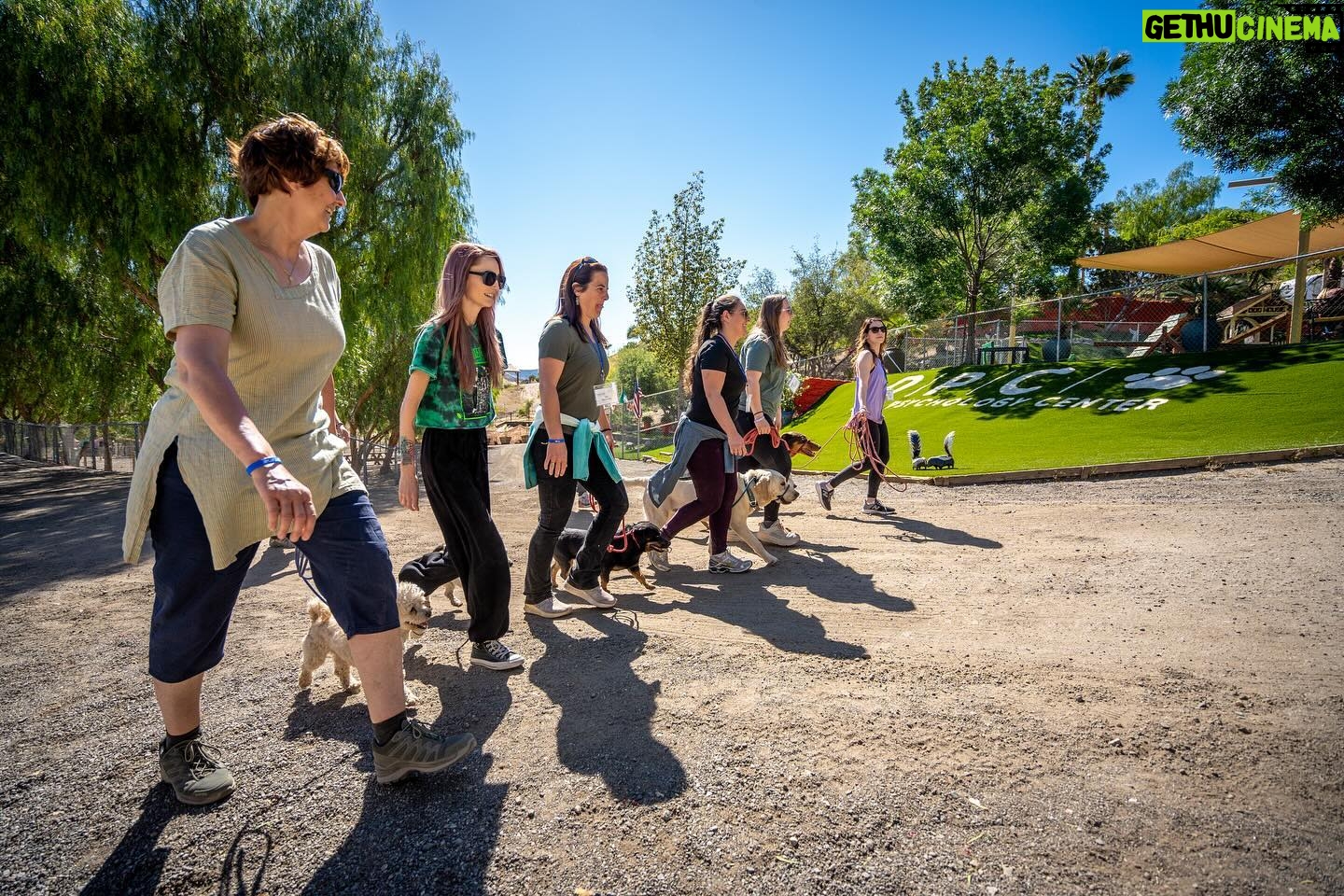Cesar Millan Instagram - TRAINING CESAR’S WAY IS BACK AT THE RANCH 🎉 We are so happy. The Pack is ready. ❤️ Let’s get together to make this world a better planet by bettering the way we connect with our dogs. 🐕 Visit the Link in my bio to REGISTER! #trainingcesarsway #betterhumansbetterplanet