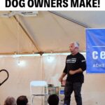 Cesar Millan Instagram - Training Tip Tuesday - The Biggest Mistake Dog Owners Make Are we focusing on how much WE want to experience the moment not how much our DOGS will experience the moment? Learn more @trainingcesarsway #dogtraining #dog #cesarmillan ——— Martes de consejos de entrenamiento: ¡El mayor error que cometen los dueños de perros! ¿Nos estamos centrando en cuánto NOSOTROS queremos experimentar el momento y no en cuánto experimentarán el momento nuestros PERROS? Más información @trainingcesarsway #dogtraining #perro #cesarmillan