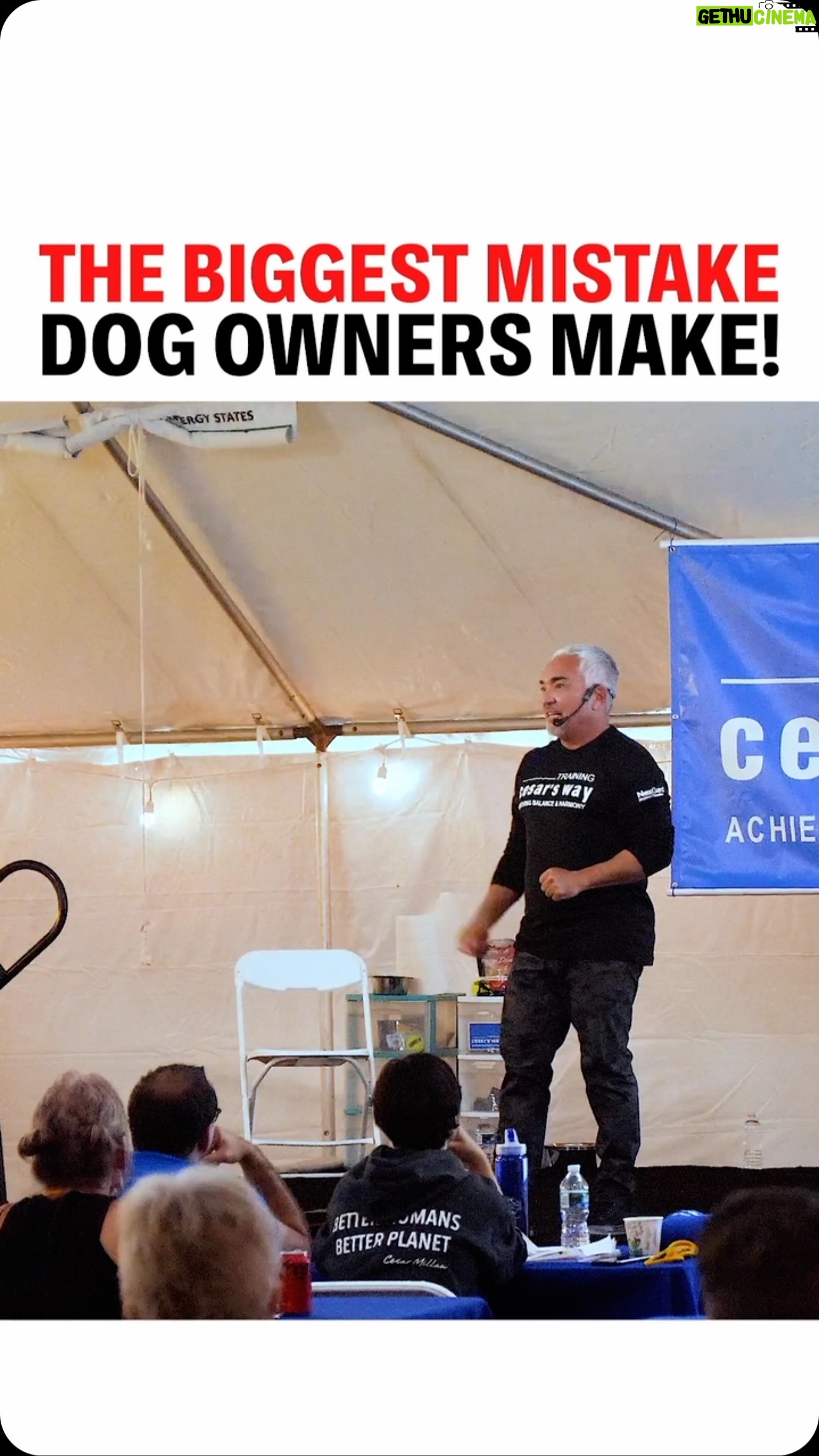 Cesar Millan Instagram - Training Tip Tuesday - The Biggest Mistake Dog Owners Make Are we focusing on how much WE want to experience the moment not how much our DOGS will experience the moment? Learn more @trainingcesarsway #dogtraining #dog #cesarmillan ——— Martes de consejos de entrenamiento: ¡El mayor error que cometen los dueños de perros! ¿Nos estamos centrando en cuánto NOSOTROS queremos experimentar el momento y no en cuánto experimentarán el momento nuestros PERROS? Más información @trainingcesarsway #dogtraining #perro #cesarmillan
