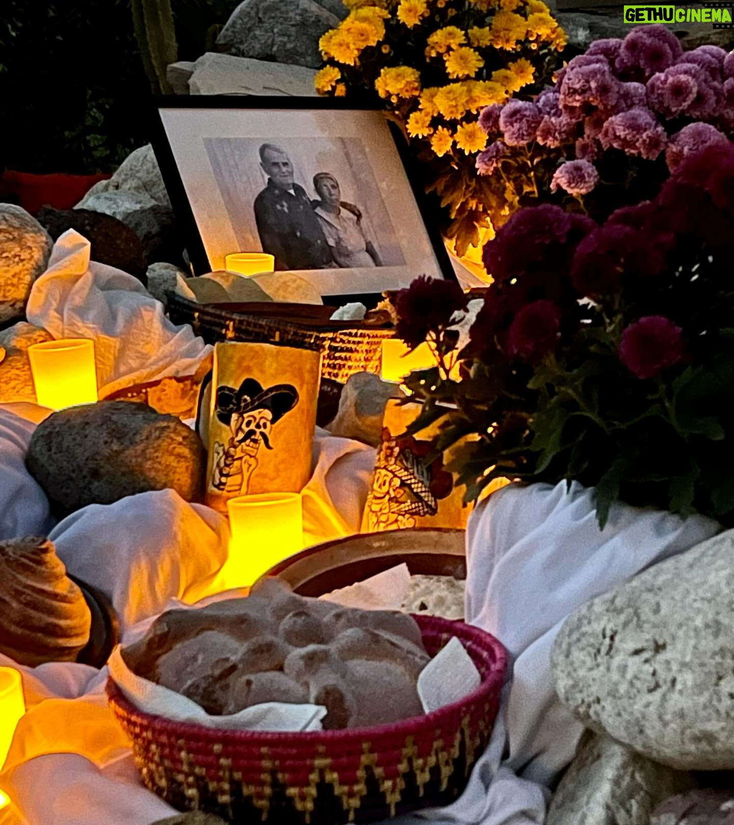 Cesar Millan - 44.5K Likes - Our Day of the Dead Altar ❤️
Honoring my grandparents, Daddy and Junior
——
Altar del día de muertos
Cesar recordando a sus abuelos, Daddy y Junior
#diadelosmuertos #betterhumansbetterplanet