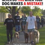Cesar Millan Instagram - Never do this when your dog makes a mistake ❗️ Ask yourself what does this dog need to achieve calm surrender? 🐕 Learn more @trainingcesarsway #dog #dogtraining #cesarmillan