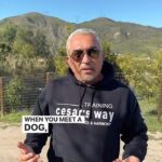 Cesar Millan Instagram - Sunday Surrender 🙏🏽 The three most important activities for our relationship with our dogs. When you meet a dog, the way you walk a dog, and the way you feed the dog. Join us on our TikTok Live weekly! Where I hang out with you guys and answer your questions. #betterhumansbetterplanet ——— Las tres actividades más importantes para nuestra relación con nuestros perros. Cuando conoces a un perro, la forma cómo lo paseas y la forma en cómo lo alimentas. ¡Únase a nosotros en nuestro TikTok Live semanal! Donde convivo con ustedes y respondo sus preguntas. #mejoreshumanosmejorplaneta
