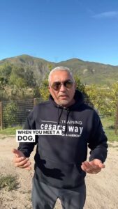 Cesar Millan Instagram - Sunday Surrender 🙏🏽 The three most important activities for our relationship with our dogs. When you meet a dog, the way you walk a dog, and the way you feed the dog. Join us on our TikTok Live weekly! Where I hang out with you guys and answer your questions. #betterhumansbetterplanet ——— Las tres actividades más importantes para nuestra relación con nuestros perros. Cuando conoces a un perro, la forma cómo lo paseas y la forma en cómo lo alimentas. ¡Únase a nosotros en nuestro TikTok Live semanal! Donde convivo con ustedes y respondo sus preguntas. #mejoreshumanosmejorplaneta