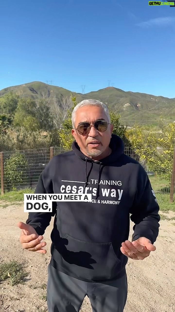 Cesar Millan - 34.9K Likes - Sunday Surrender šš½
The three most important activities for our relationship with our dogs.
When you meet a dog, the way you walk a dog, and the way you feed the dog.
Join us on our TikTok Live weekly! Where I hang out with you guys and answer your questions.
#betterhumansbetterplanet
āāā
Las tres actividades mÔs importantes para nuestra relación con nuestros perros.
Cuando conoces a un perro, la forma cómo lo paseas y la forma en cómo lo alimentas.
Ā”Ćnase a nosotros en nuestro TikTok Live semanal! Donde convivo con ustedes y respondo sus preguntas.
#mejoreshumanosmejorplaneta