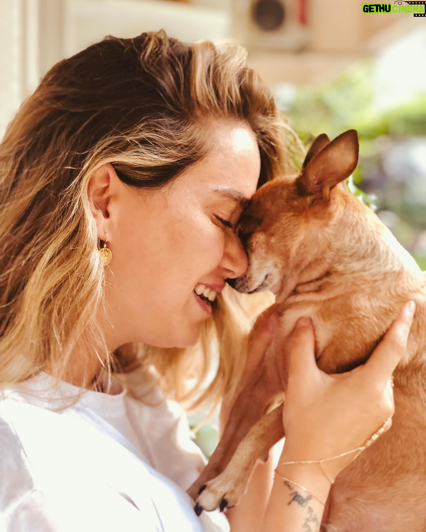 Ceyda Ateş - 19.9K Likes - Sol yanım♾️Dünya’m adın gibi dünyam oldun😢Seni kaybedeli üç gün oldu koskoca 15 yılımız son buldu. Ben hala inanmak istemiyorum 🙏Sen benim gençliğim,dostum,evimin neşesi, minik köpekbalığım, güzel kokanım , miniğin abisi ve dahası …. Talia nın nanası🌟 Seni hiç unutmayacağım oğlum hayat yoldaşım……..♾️2008-2023♾️ Asil oğlum🕊️