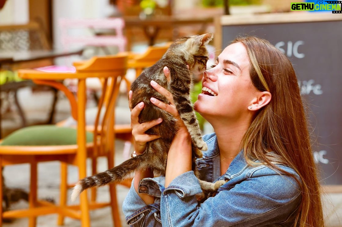 Ceyda Ateş - 20.1K Likes - Sokaktaki minik dostlarımızı sevelim , koruyalım ve yemek verelim🙏 Günaydınnn✨✨