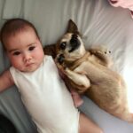 Ceyda Ateş Instagram - Sol yanım♾️Dünya’m adın gibi dünyam oldun😢Seni kaybedeli üç gün oldu koskoca 15 yılımız son buldu. Ben hala inanmak istemiyorum 🙏Sen benim gençliğim,dostum,evimin neşesi, minik köpekbalığım, güzel kokanım , miniğin abisi ve dahası …. Talia nın nanası🌟 Seni hiç unutmayacağım oğlum hayat yoldaşım……..♾️2008-2023♾️ Asil oğlum🕊️