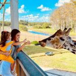 Ceyda Ateş Instagram - Do feed the animals❤️ #giraffe