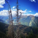 Chanel Mack Instagram – #aspen ride up to the top of the #mountains in my #favorite #cozyclothes from @aviatornation. Just ignore the second video in this slide. Don’t mind me sounding goofy and obnoxious as I’m falling down and laughing completely in the most unattractive way. The #views are all that matters here. Talk about #majestic #nature #labordayweekend #refresh #travel #happy #pretty #sightseeing #aviatornation