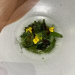Chanel Mack Instagram - Nothing beats a $500 wine pairing dinner at a not 2016,17,19,22 and 2023 Michelin star restaurant in San Francisco @lazybearsf. Not sure what was the best, the food, experience, staff, wine or me? #happygirl