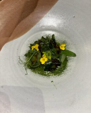 Chanel Mack Instagram - Nothing beats a $500 wine pairing dinner at a not 2016,17,19,22 and 2023 Michelin star restaurant in San Francisco @lazybearsf. Not sure what was the best, the food, experience, staff, wine or me? #happygirl