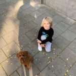 Chantal Janzen Instagram - Zit. Braaf. Puppycursus afgerond ✅ #bobenpiet #bobby #pilar