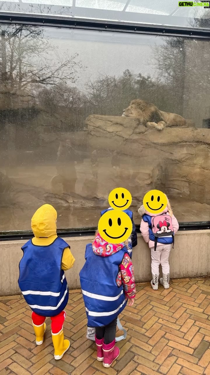 Chantal Janzen Instagram - Vandaag schooluitje met alle kleuters.Super dag met lieve kids èn andere ouders die elkaar hielpen als ‘t even nodig was. Fijn om als hulp-ouder mee te gaan aangezien Bob nog maar ‘n week op school zit. Ontroerend en schattig om met kinderen van 4/5 die jou niet kennen meteen leuke gesprekken te hebben. Meisje: Is jouw haar altijd zo? Ik: Hoe? Meisje: Nat Ik: Nee dat is omdat het zo regent Meisje: T maakt niet uit hoor maar t staat wel gek Ik: Ik zal mn pet weer opdoen Meisje: T maakt echt niks uit hoor want je ruikt wel heel lekker En: Meisje: Ik moet plassen Ik: Ik zie even geen wc kun je t nog héél even ophouden? Meisje: Dat gaan we zo zien Jaren geleden was ik ook mee als klassenmoeder met James zn groep, waar in mijn groepje 2 kids ruzie kregen en de 1 naar links stoof in een voor mij totaal onbekend Dierenpark Amersfoort, en de ander rechts. En ze bleven rennen, ondanks mijn geroep dat ze terug moesten komen. Achter wie ren ik aan?? En wat doe ik met de anderen van mn groep?? Pittig momentje. Maar gelukkig zijn dit de uitzonderingen. Hoe vinden/vonden jullie t om ineens verantwoordelijk te zijn voor meerdere kinderen die niet van jou zijn? Ik ga altijd heel graag mee maar ben toch ook altijd heel opgelucht als ik iedereen weer heb afgeleverd bij hun ouders zonder schrammen, natte broeken, of angst voor halve verslik-situaties in de tussendoortjes, niemand ‘n vlinder heeft ingeslikt en je er niet eentje hebt achtergelaten in het reptielenverblijf. Oh en nog 1 ding wat ik niet vaak genoeg kan zeggen: respect voor docenten. ‘N mooi vak, met ‘n hoop verantwoordelijkheid, toewijding en een bak liefde, en mooi om dat op dit soort dagen te mogen bekijken, hoe jullie dat toch altijd maar weer fiksen met die lieve grappige mini-mensen.