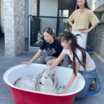 Charada Imraporn Instagram - วันวุ่นๆของ @tamagochan_husky 🐶 #chalalaandfriends