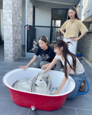 Charada Imraporn Instagram - วันวุ่นๆของ @tamagochan_husky 🐶 #chalalaandfriends
