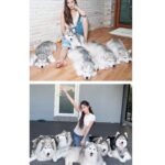 Charada Imraporn Instagram - วันวุ่นๆของ @tamagochan_husky 🐶 #chalalaandfriends