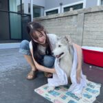 Charada Imraporn Instagram - วันวุ่นๆของ @tamagochan_husky 🐶 #chalalaandfriends