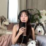 Charada Imraporn Instagram - ร้องเพลงให้หมาฟัง🤍🐶 ไม่รู้หมาฟังป่าว🤣 @tamagochan_husky #chalalaandfriends #wecantbefriends