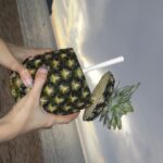Charada Imraporn Instagram - 🍍